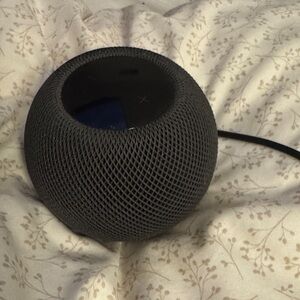 Apple Black Smart Speaker